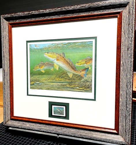 Calvin Carter 2012 Coastal Conservation Association CCA Stamp Print - New Frame