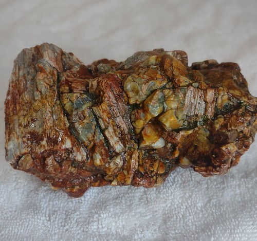 Petrified Opalized Limb Cast Fire Opal Incredible Color Washington State  1lb 14