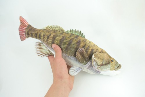 Smallmouth Bass, Realistic Stuffed Plush Fish, Toy, Gift, 17 Inches. CC200 BB55 - Picture 3 of 8