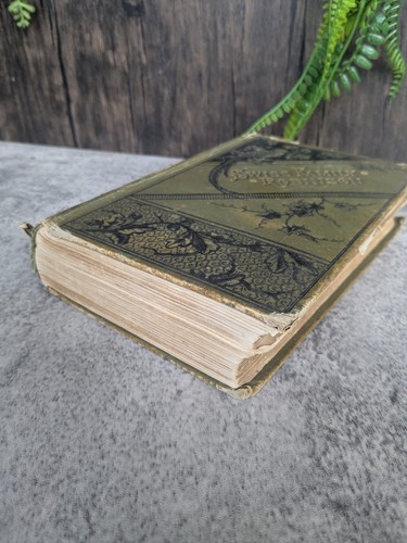 Swiss Family Robinson Johann Wyss Porter and Coates Ca. 1880 Illustrated Edition - Picture 6 of 13