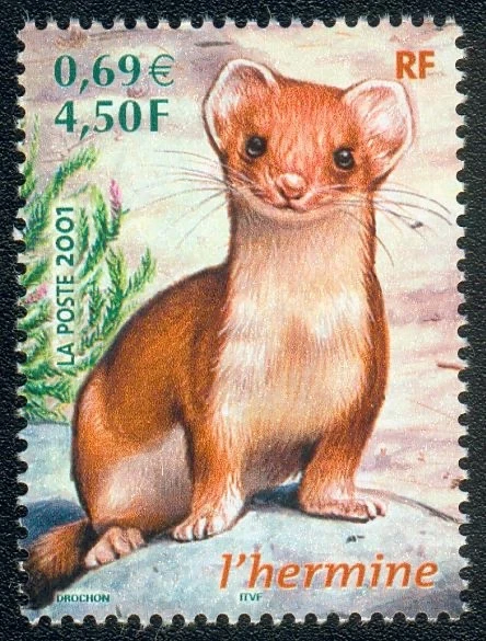Timbre de 2001 - Nature de France Animaux des bois L´Hermine - N° 3384 - Photo 1/1