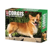 Corgis 2026 5.4 X 6.2 Box Calendar (Bookbook - Detail Unspecified)