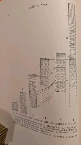 Fenton, STRATIGRAPHY & FAUNA OF THE HACKBERRY STAGE OF THE UPPER DEVONIAN, 1924 - Imagen 7 de 10