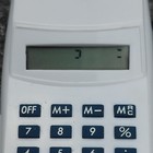 Picture 8 of 8