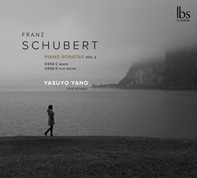 Various - Franz Schubert: Piano Sonatas / Vol. 2 [CD]