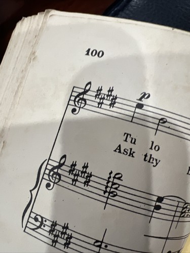 Biblioteca Schirmers 24 canciones italianas y aarias voz media alta volumen 1722 - Imagen 7 de 12