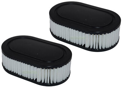 2 X Luftfilter für Briggs & Stratton Motor 575IS 625E 625EX 650EXI 675E 725E