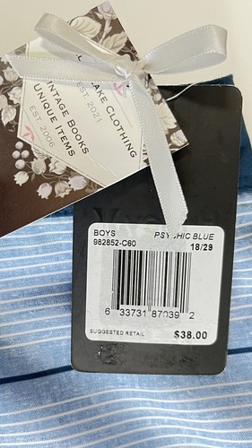 Hurley Board Shorts 18 Boys Psychic Blue stripes NWT $38 - Picture 4 of 11