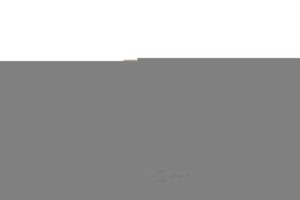Engine Coolant Thermostat//Water Outlet Assembly fits 08-09 Saturn Astra 1.8L-L4
