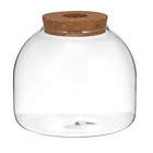 Terrarienbehälter Pflanzenvase Mit Korkdeckel Glasterrarien Terrariumbehälter