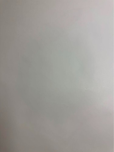 Maison Ikkoku: Capítulo Final Kyoko Otonashi, Póster Promocional de Película/JPN Raro! - Imagen 18 de 20