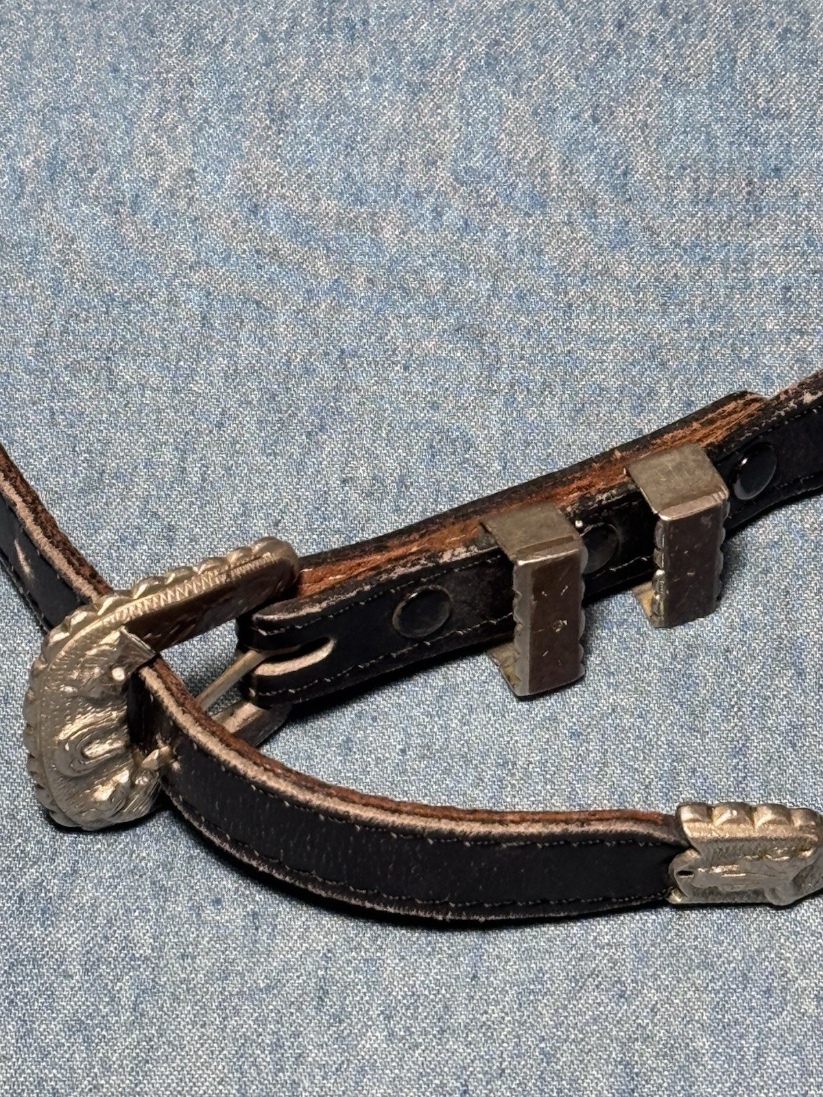 Picture 6 of 12