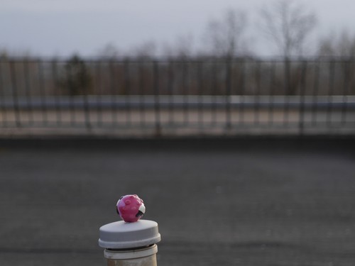 Canon FD 50mm F1.8 S.C. Cine Mod Lens – Anamorphic Bokeh for Sony E-Mount! - Picture 12 of 12