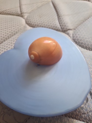Seashell Pendant
