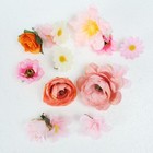 Foto 14 di 14