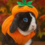 The Rabbits Den Store