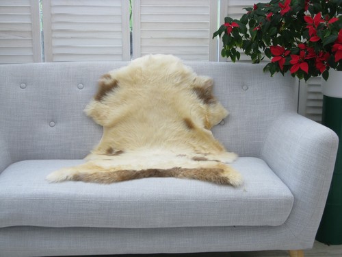 SHEEPSKIN RUG GENUINE BRITISH JACOB SOFT DENSE FUR LAMBSKIN CHAIR COVER BED J363 - Picture 3 of 12