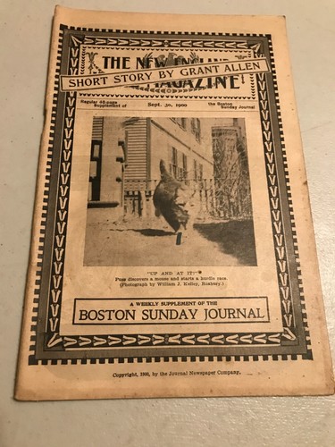 Sept 30 1900 Grant Allen, Dorothy Usner, Marie Corelli, Margaret Cassini VTG Ads - Picture 1 of 23