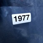 Bild 11 von 13