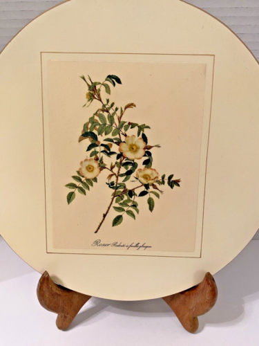 Four-9" Round Trivets/Hot Pads Pimpernel - Botanic Redoute Rose Feltro Schienali Vintage - Foto 10 di 12