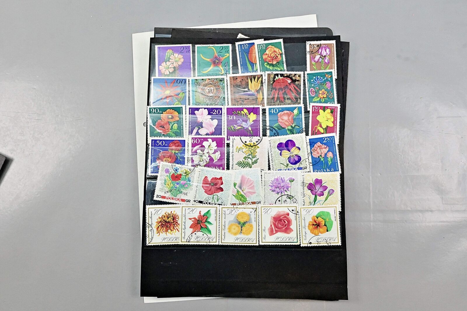 Picture 13 of 24