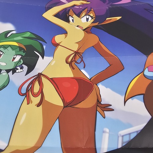 Shantae Advance Risky Revolution Bikini Poster mit Goldmünze limitierte Auflage Spiele - Bild 8 von 10