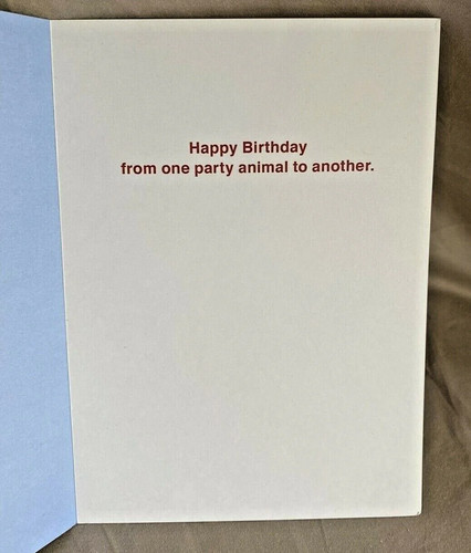 Birthday Greeting Card w/Envelope NEW - 第 2/2 張圖片