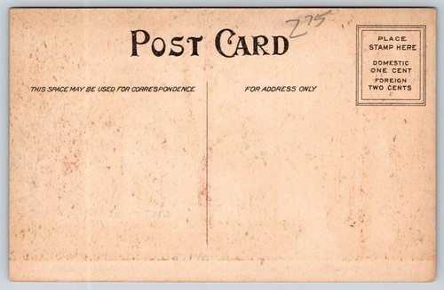 Postcard East Monroe Street W.E. Hill Kids Walking Charleston, IL I12 - Picture 2 of 2