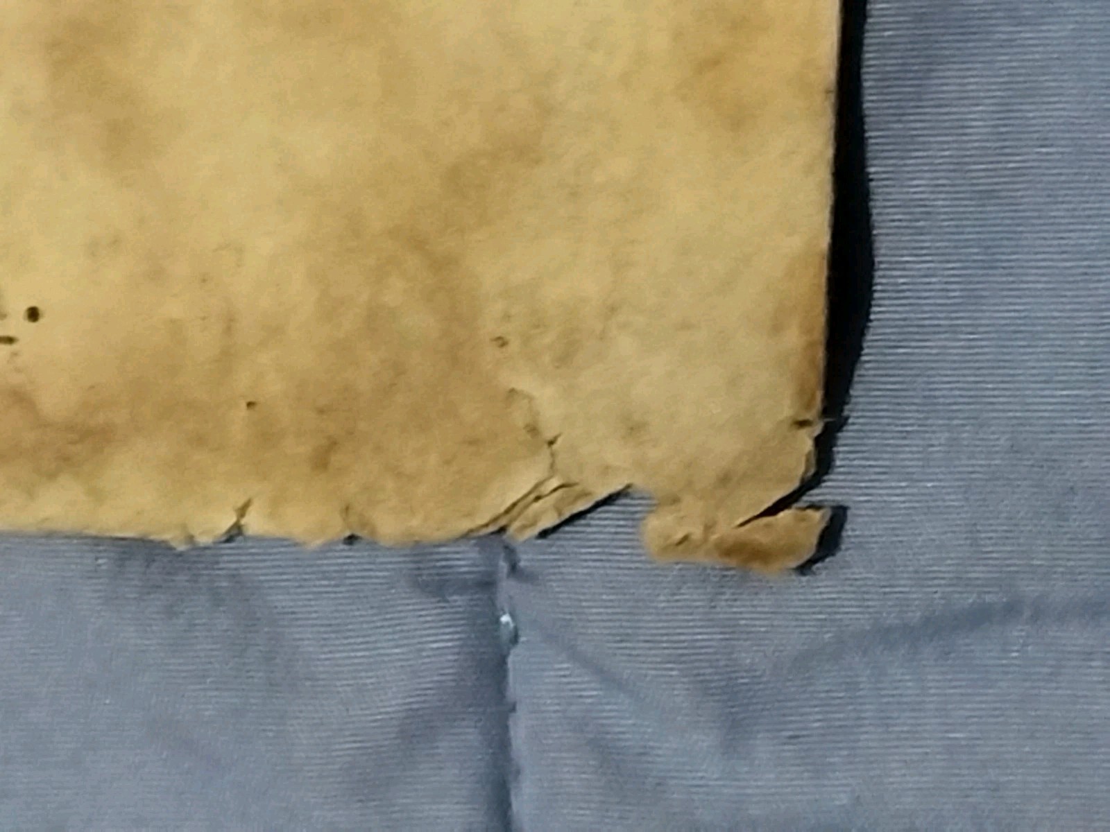 Picture 8 of 11