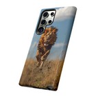 第 123/173 張圖片