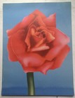 Foto 1 di 4