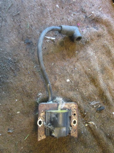 Rasenjunge 10683 LV195EA Motor Zündspule Magnetoanker 34443C