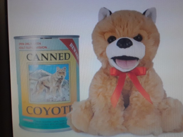 canned critters turtle