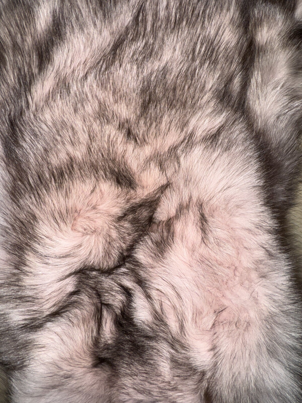 Picture 4 of 24