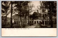 Jesuit College Spring Hill Mobile Alabama c1905 Postcard