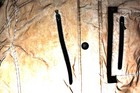 Bild 8 von 9