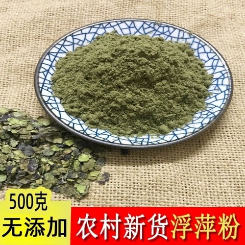 500g Dried Lemna Minor Powder, Lesser Duckweed Powder, Herbal Tea Fu Ping - Picture 3 of 3