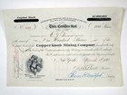 New ListingNc. Copper Knob Mining Co., 1881 100 Shares I/U Capital Stock Cert, Fine Abnc