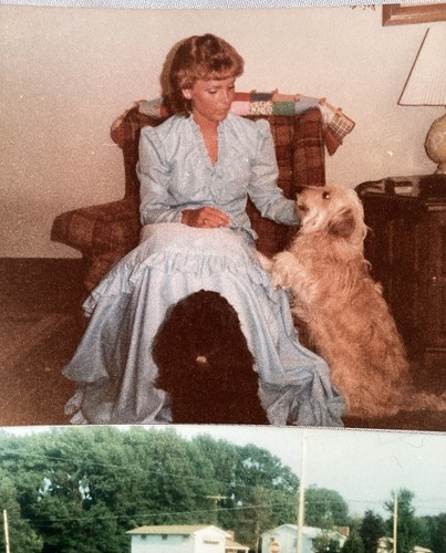 80’s Fashion Lot 3 FOTOS Young LADY Mercury Tracer Dogs Vintage - Bild 3 von 4