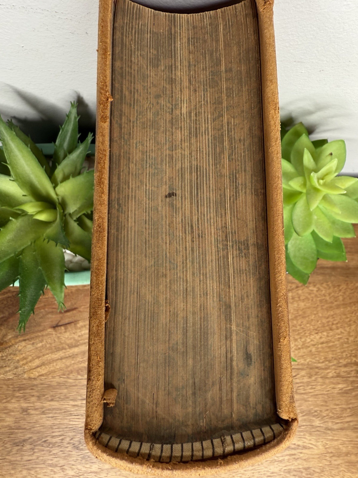 Picture 2 of 24