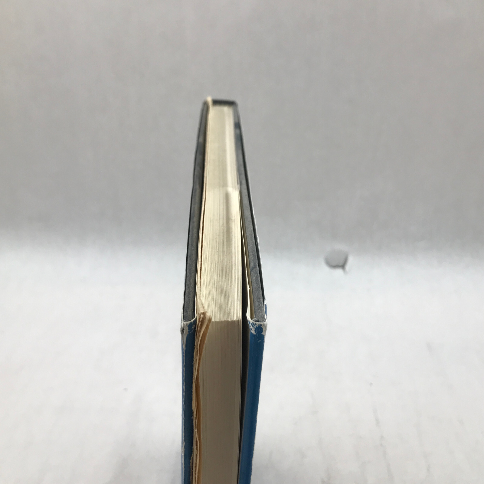 Foto 7 di 21