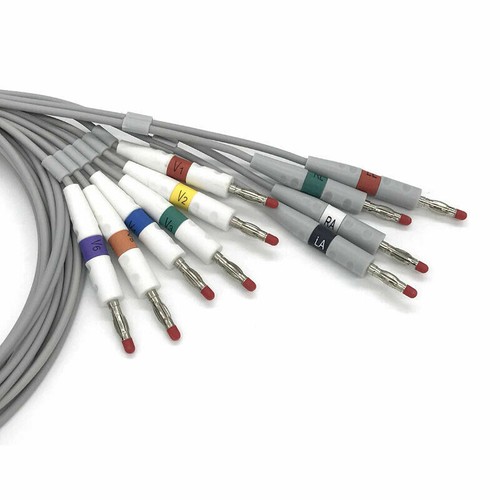 Philips 10 LeadWire Lead Wire ECG EKG Cables PageWriter M1700A 1701 1702 XLE XLI - Picture 6 of 11