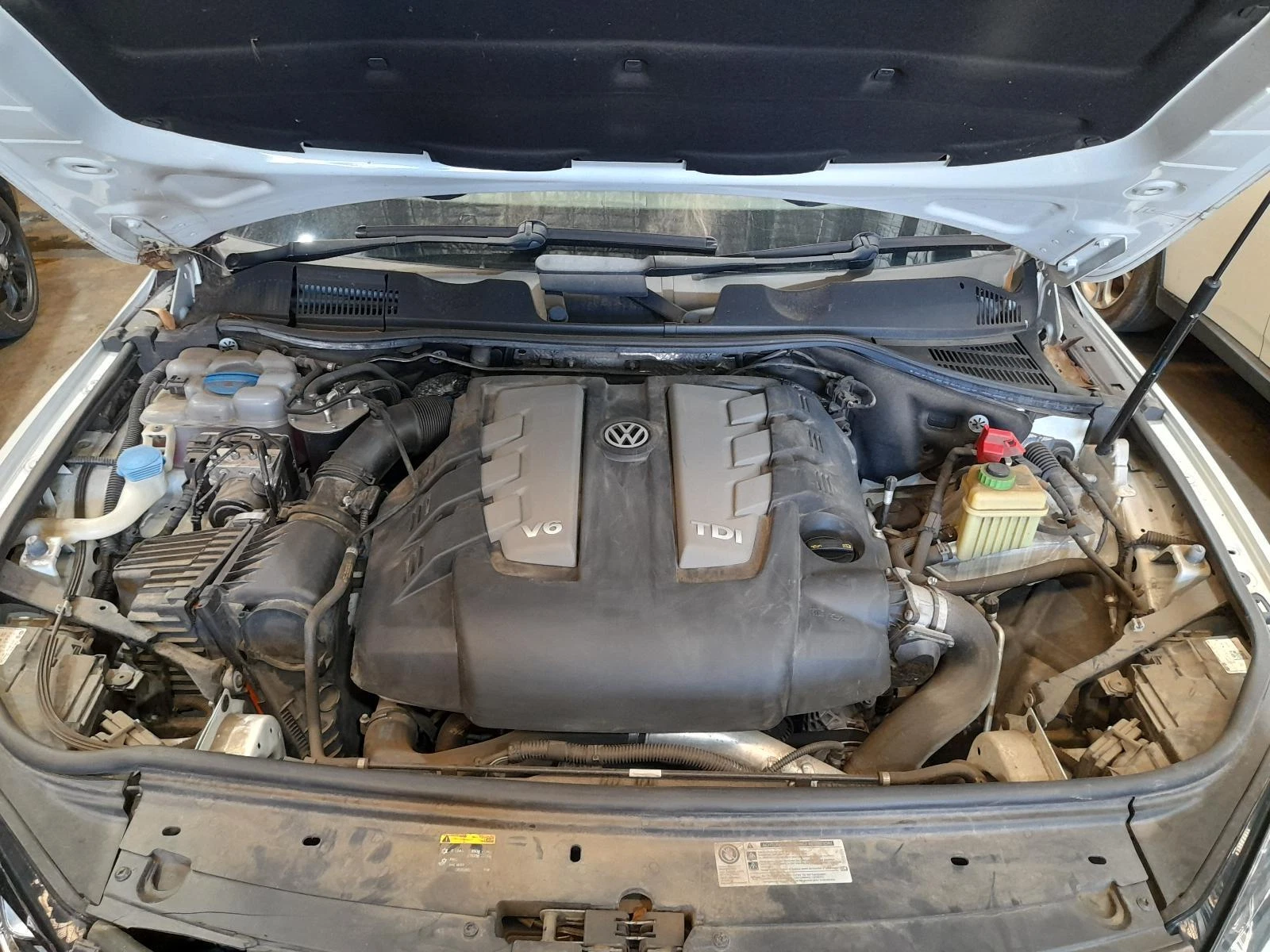 Picture 6 of 12