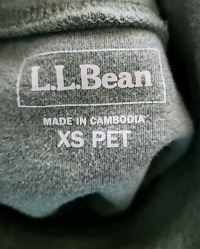 L.L. Bean Turtleneck Shirt Top Women's XS Petite Green Knit Cotton Stretch - Picture 11 of 12