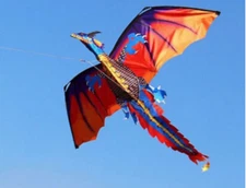 3D Dragon Single line Kite for Adult,Kids Classical Sports Outdoor Sport