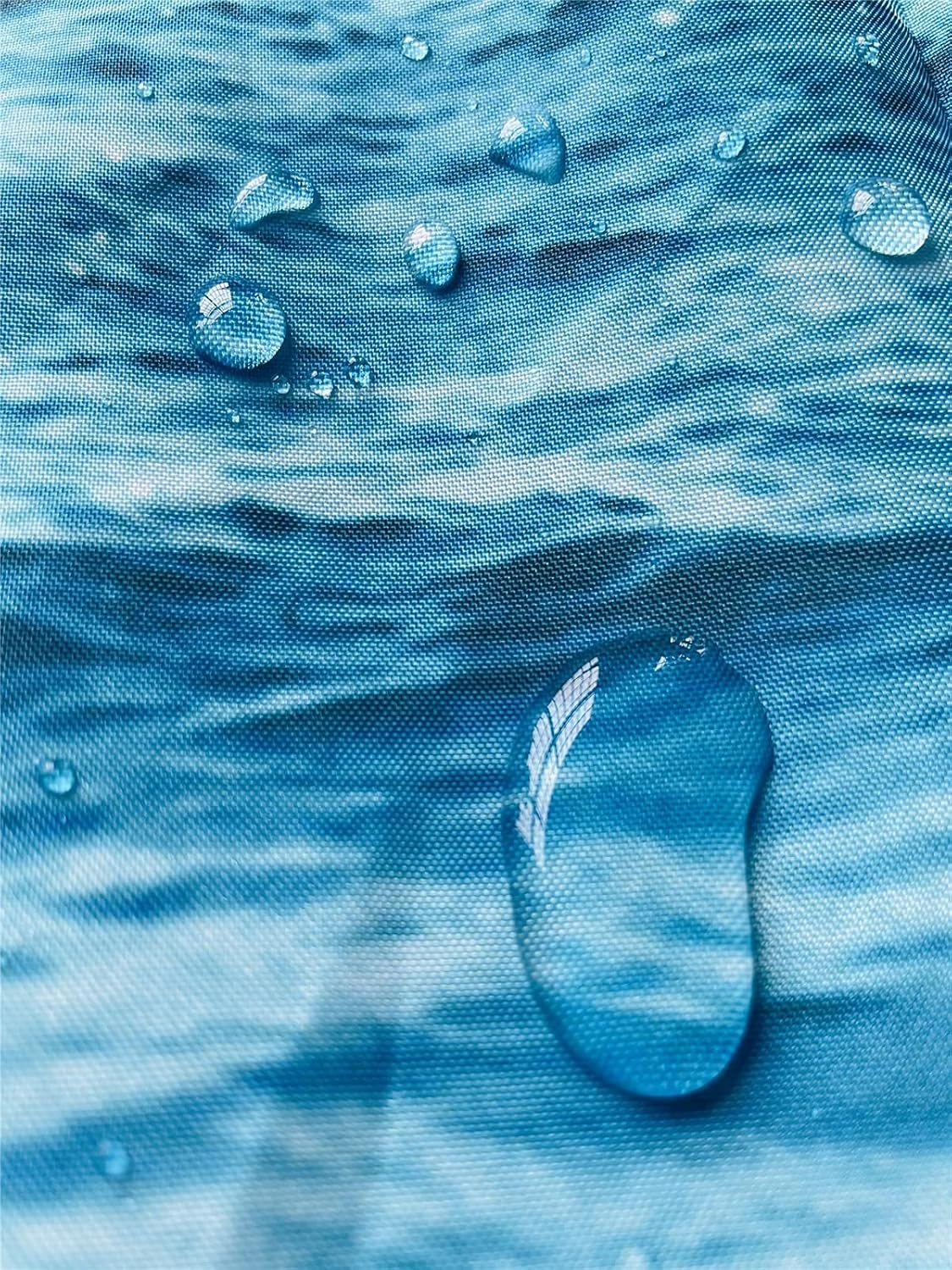 Picture 6 of 12