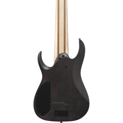 Ibanez RG9PB-TGF Axe Design Lab Transparent Gray Flat 9-String