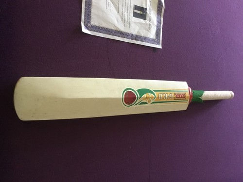Signed Alan border match used 2007 beach cricket bat - Picture 3 of 7