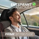 Bild 12 von 12