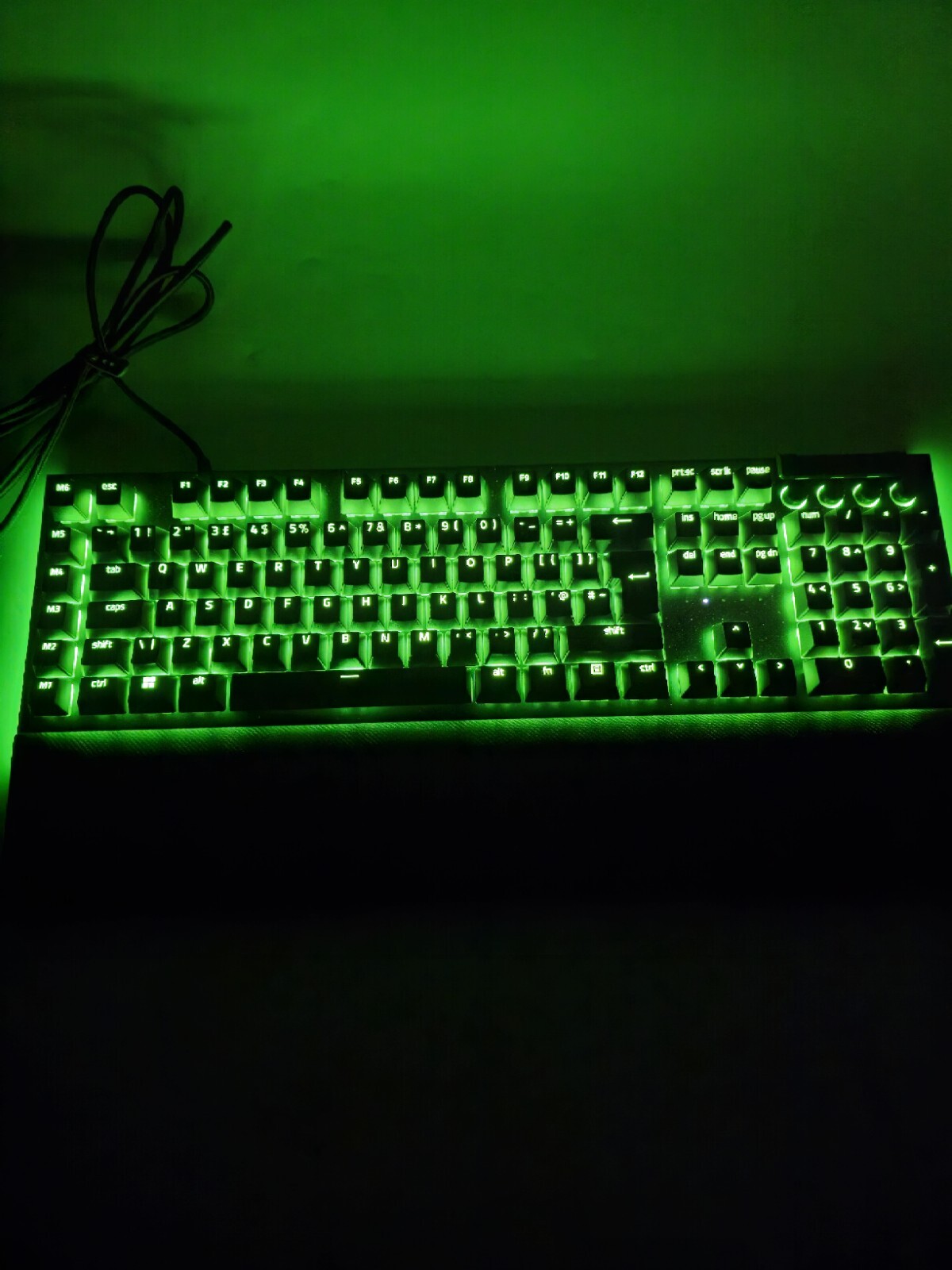 Picture 4 of 8